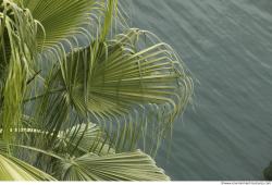 Photo of Mixed Los Angeles Textures